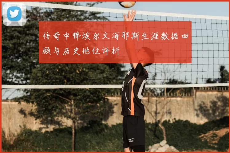 传奇中锋埃尔文海耶斯生涯数据回顾与历史地位评析