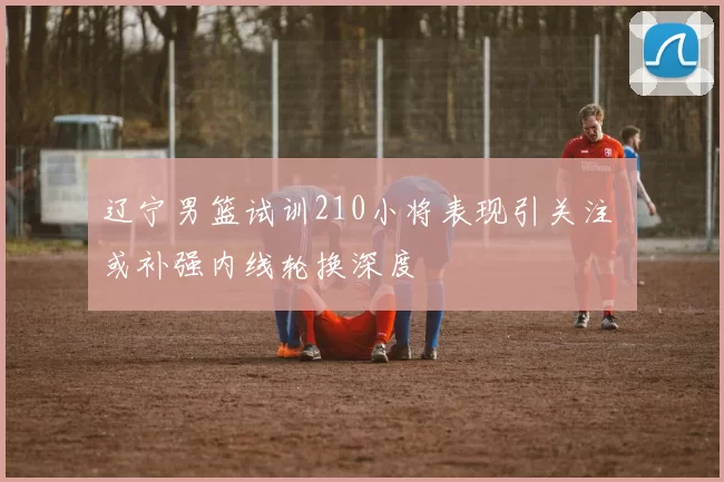 辽宁男篮试训210小将表现引关注 或补强内线轮换深度