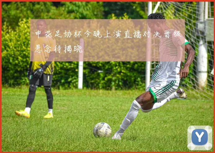 申花足协杯今晚上演直播对决晋级悬念待揭晓