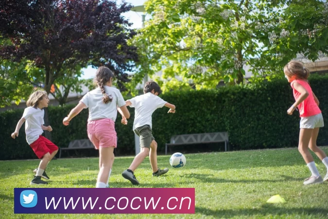 App Interface Preview