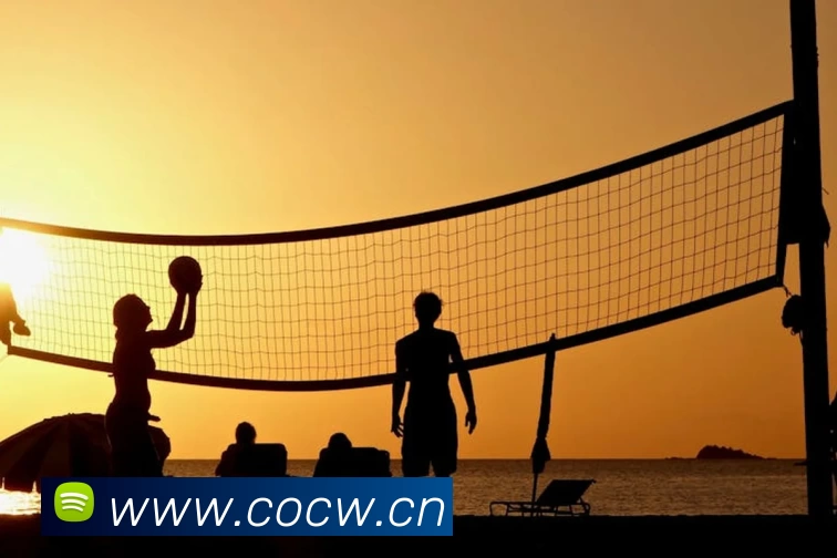 九游·官方版web站入口 - Jiuyou j9(中国)APP 封面图